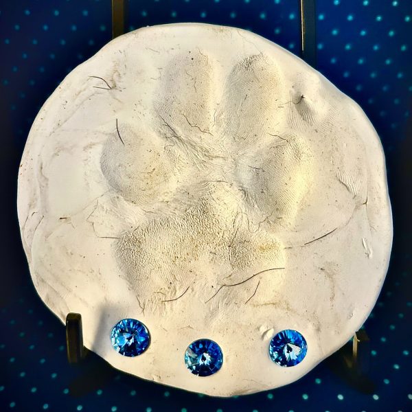 Clay Paw or Nose Impression